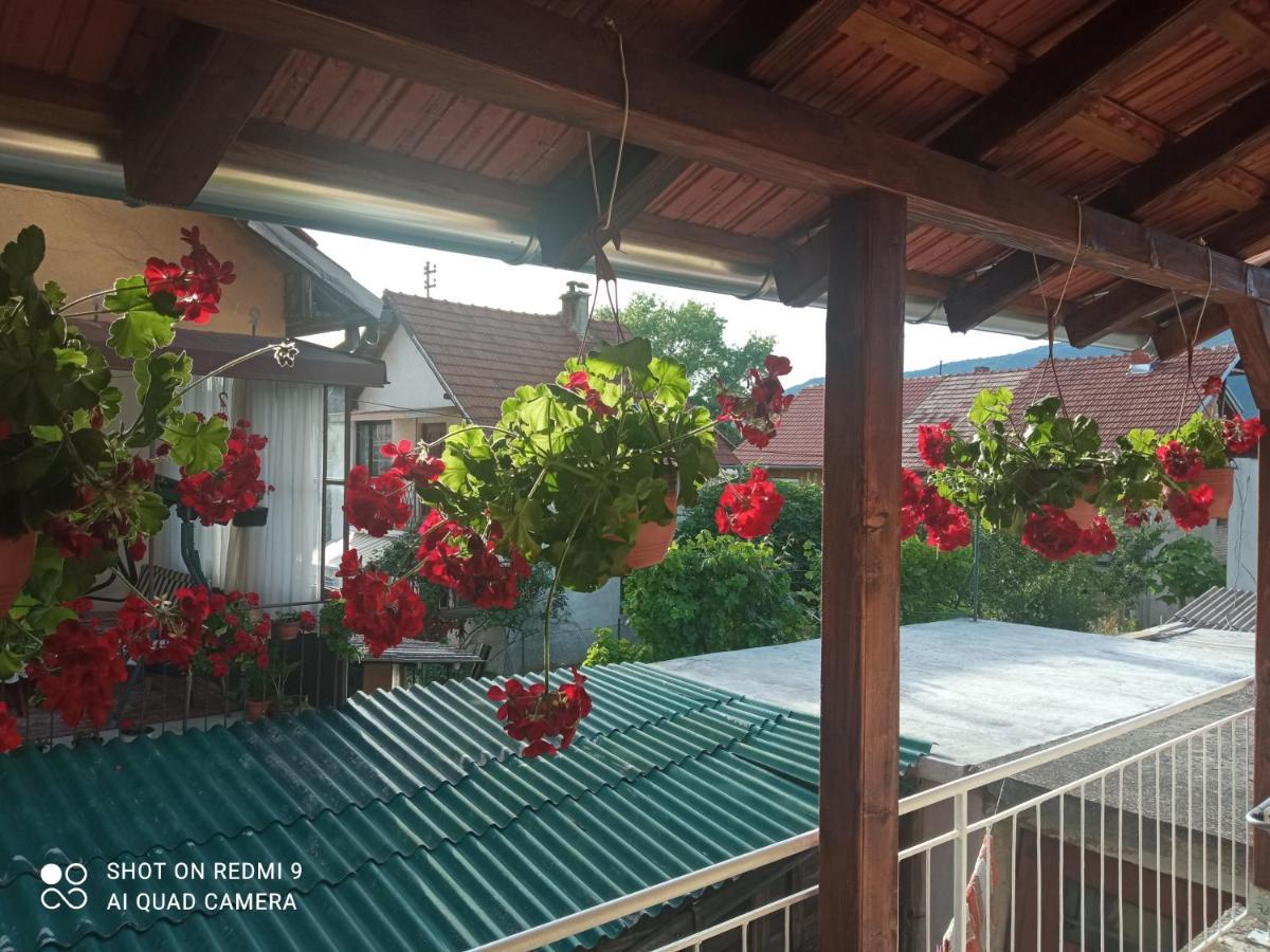 Apartman ,,Milica" Donji Milanovac Esterno foto
