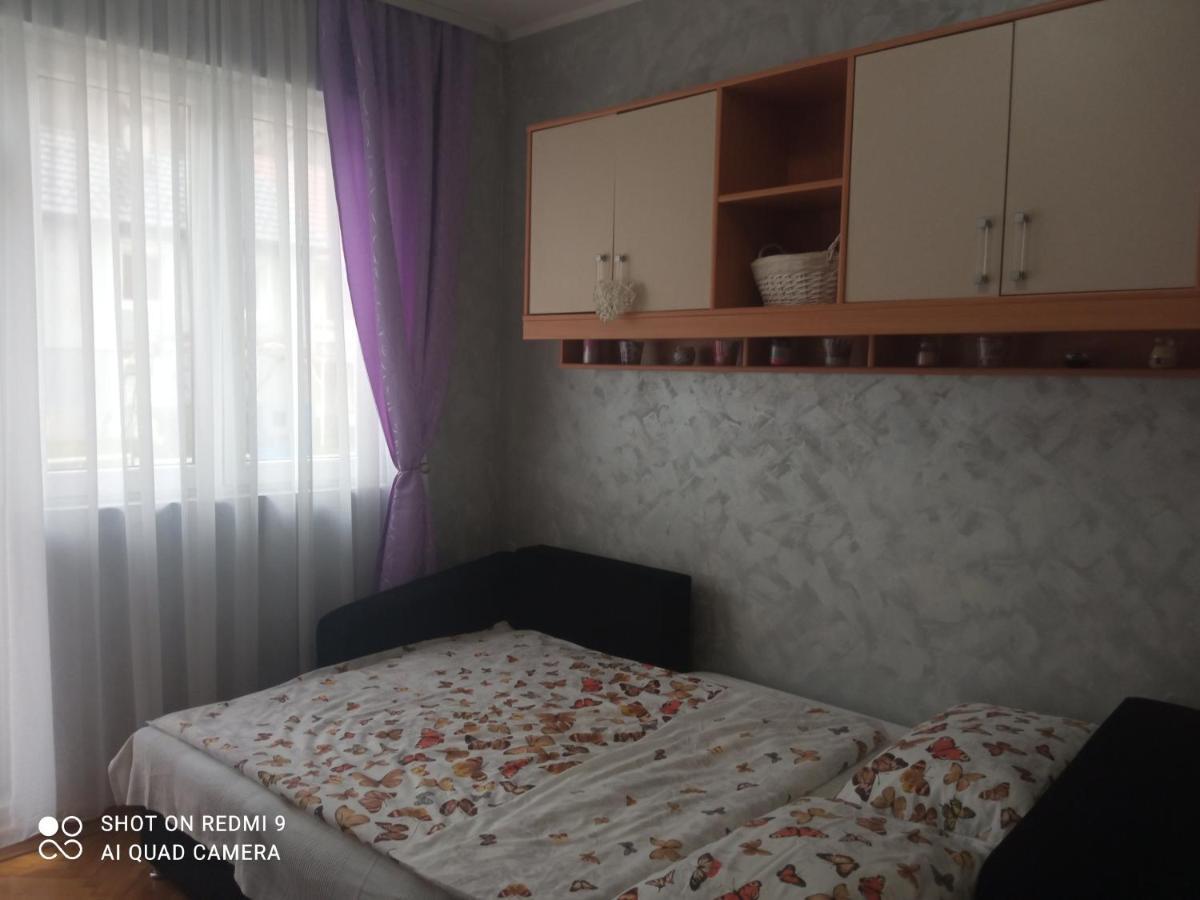 Apartman ,,Milica" Donji Milanovac Esterno foto